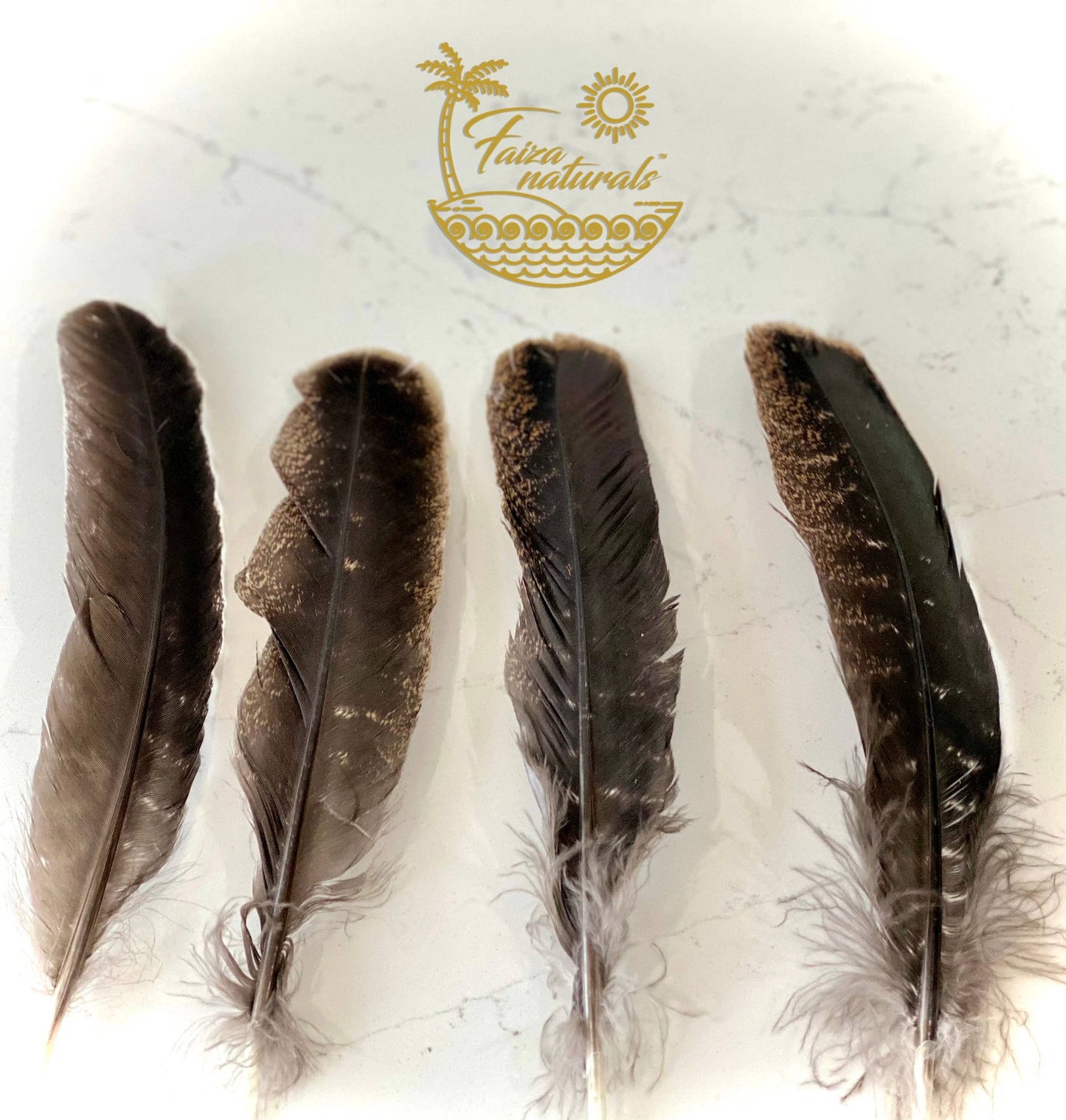 Feathers for Smudging (Turkey)