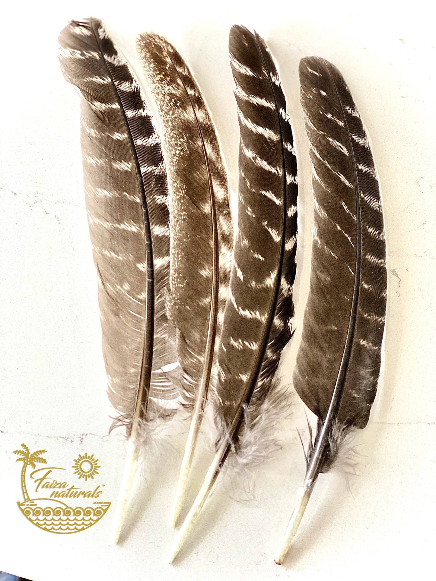 Feathers for Smudging (Turkey)