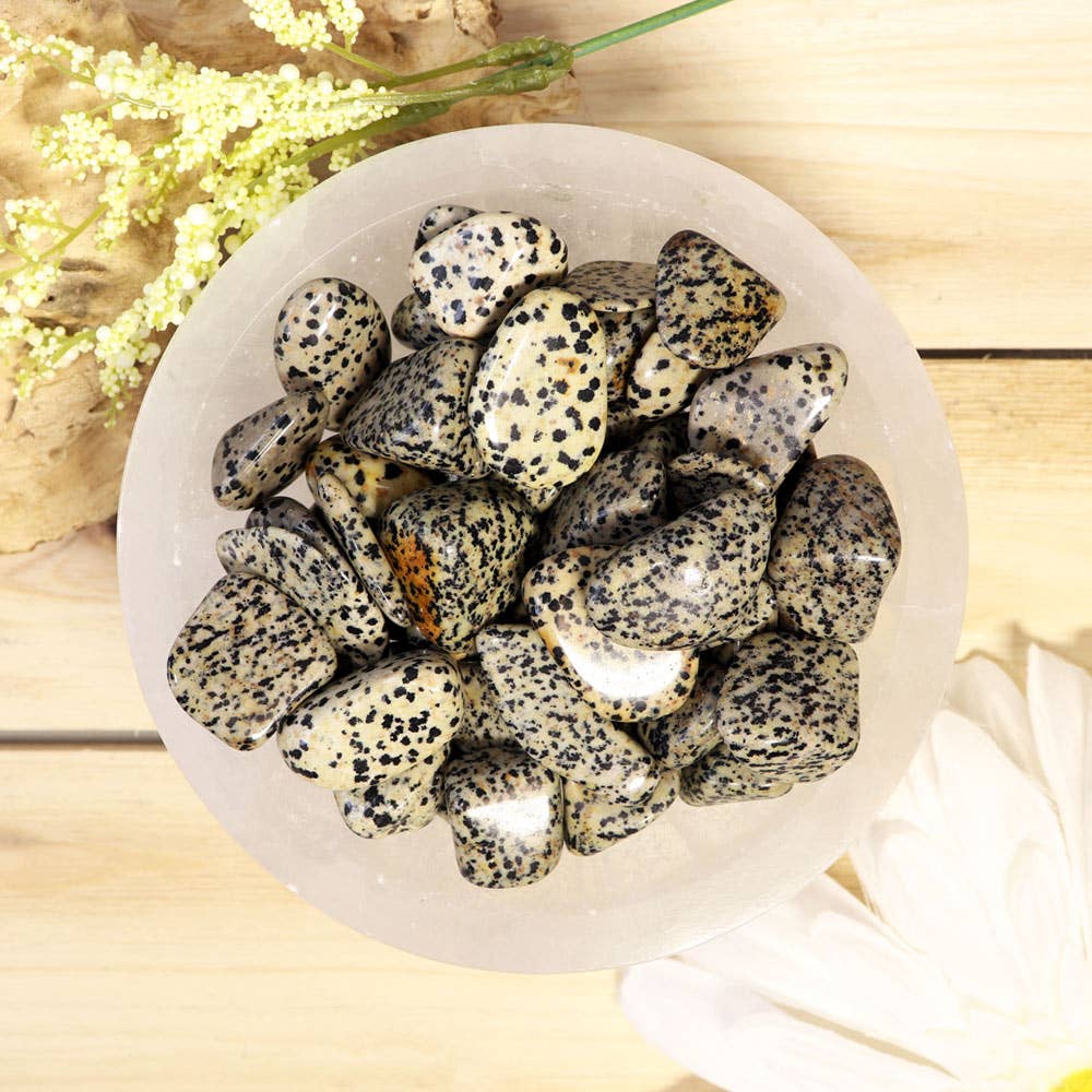 Dalmatian Jasper Tumbled Stones