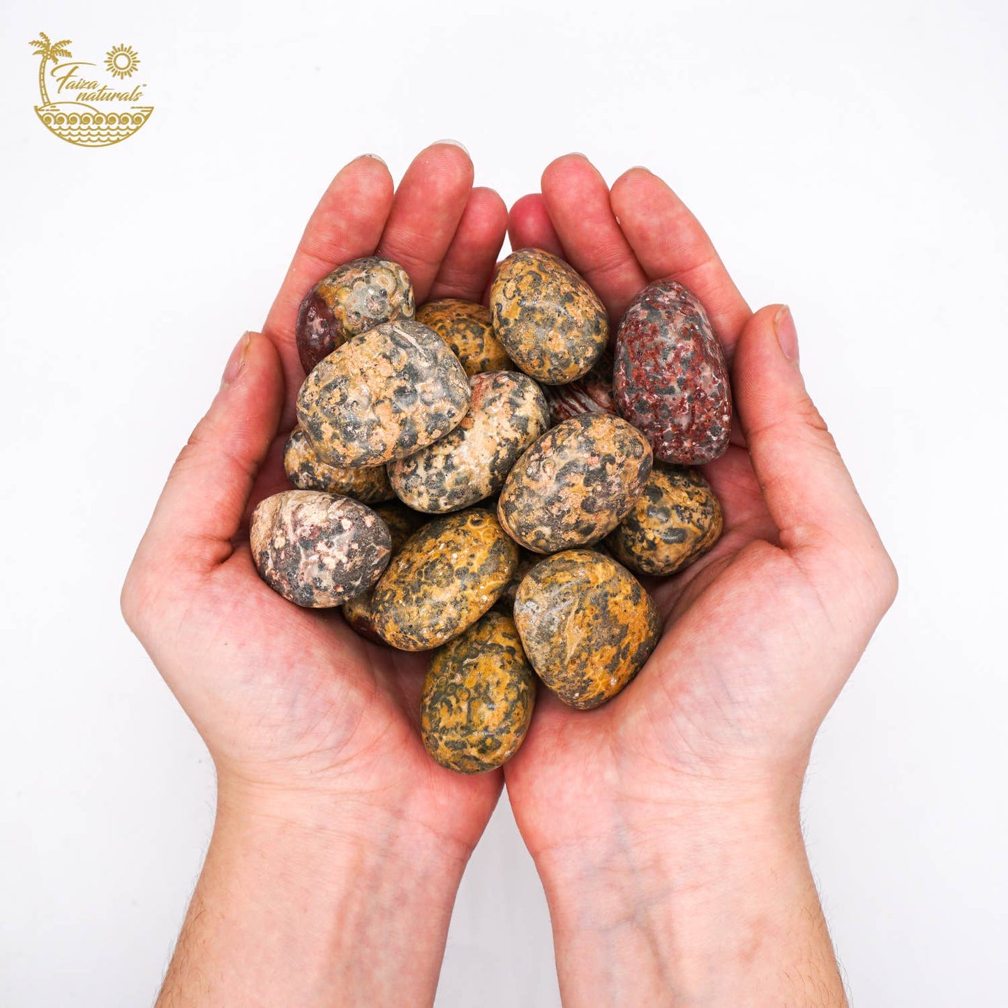 Leopard Jasper Tumbled Crystals