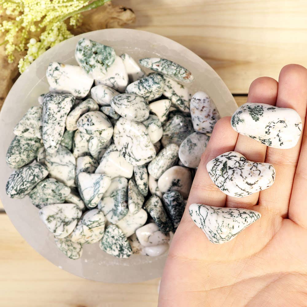 Tree Agate Tumbled Stones