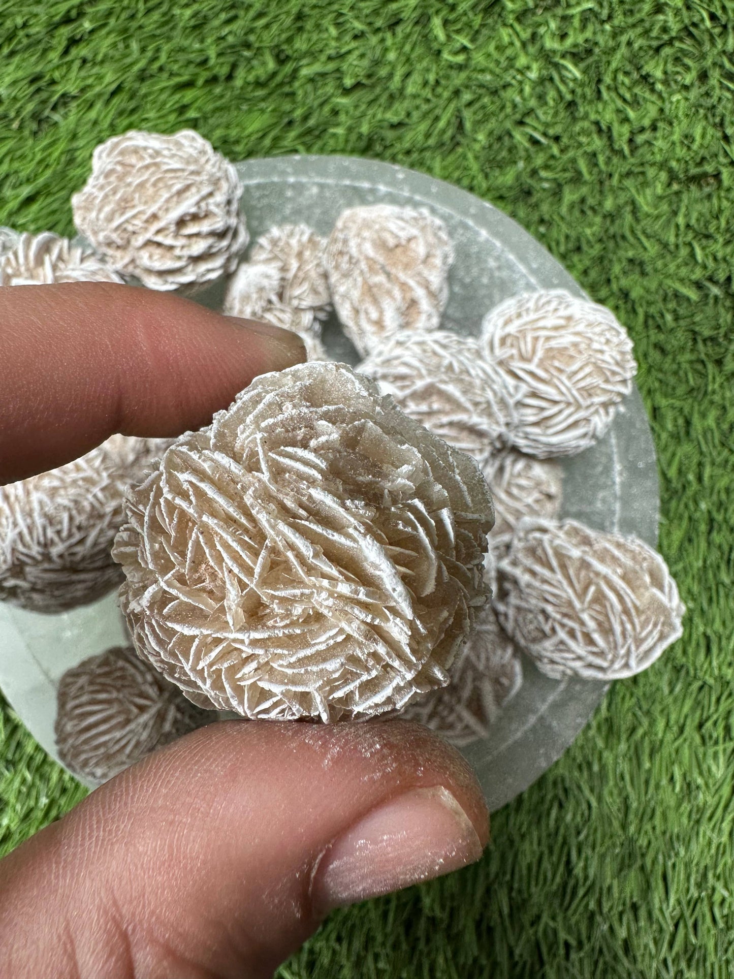 Desert Rose Selenite Buds 1"-1.5", 'A' Grade, Gypsum Rose.
