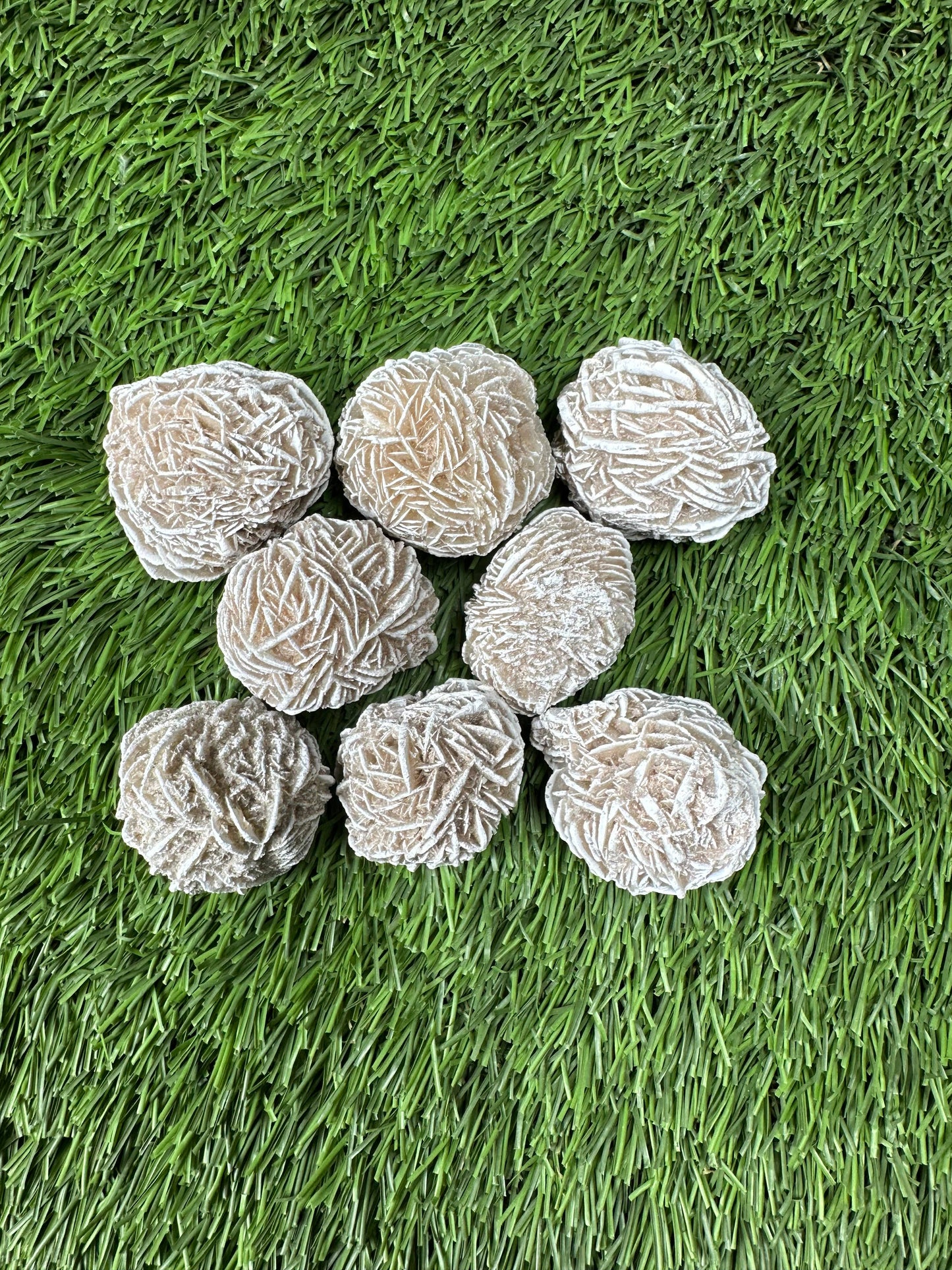 Desert Rose Selenite Buds 1"-1.5", 'A' Grade, Gypsum Rose.