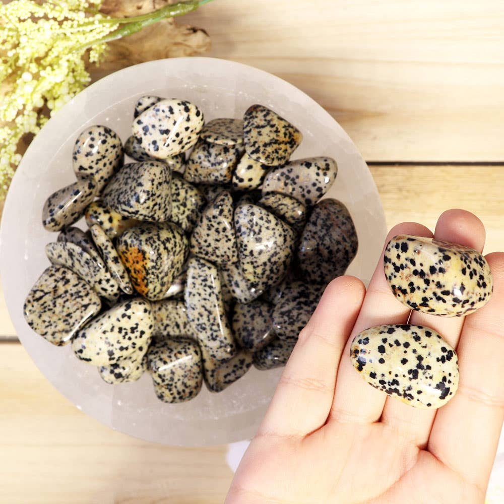 Dalmatian Jasper Tumbled Stones