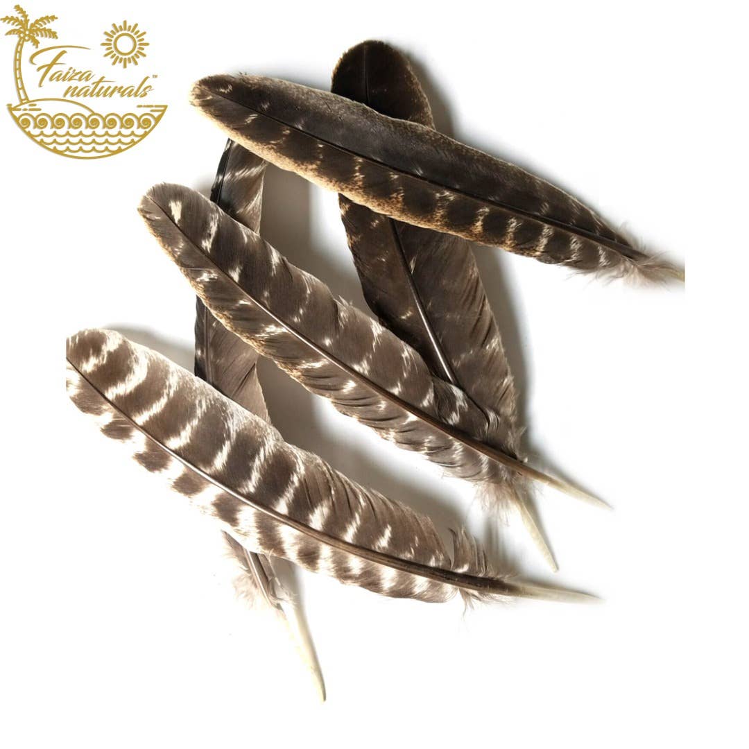 Feathers for Smudging (Turkey)