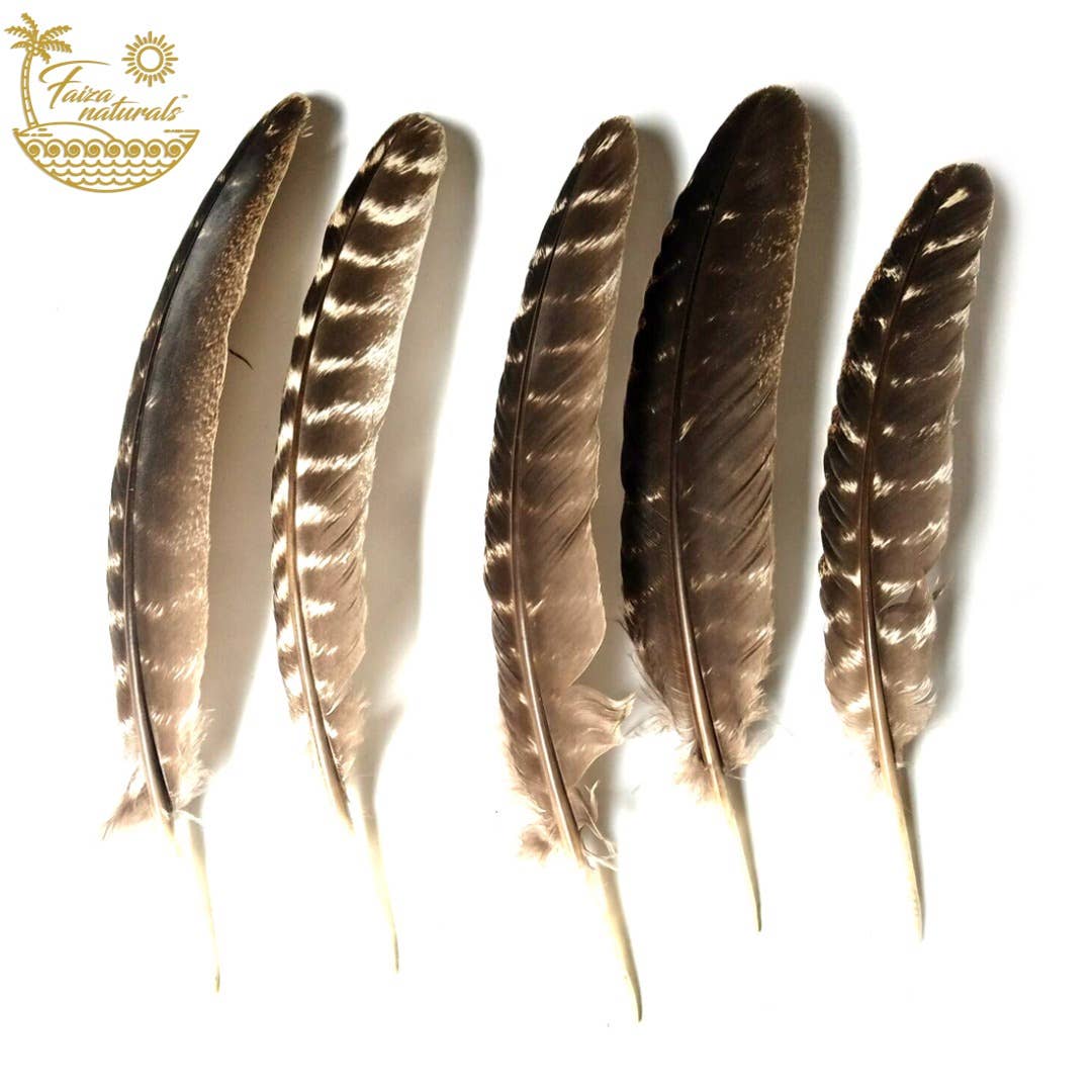 Feathers for Smudging (Turkey)