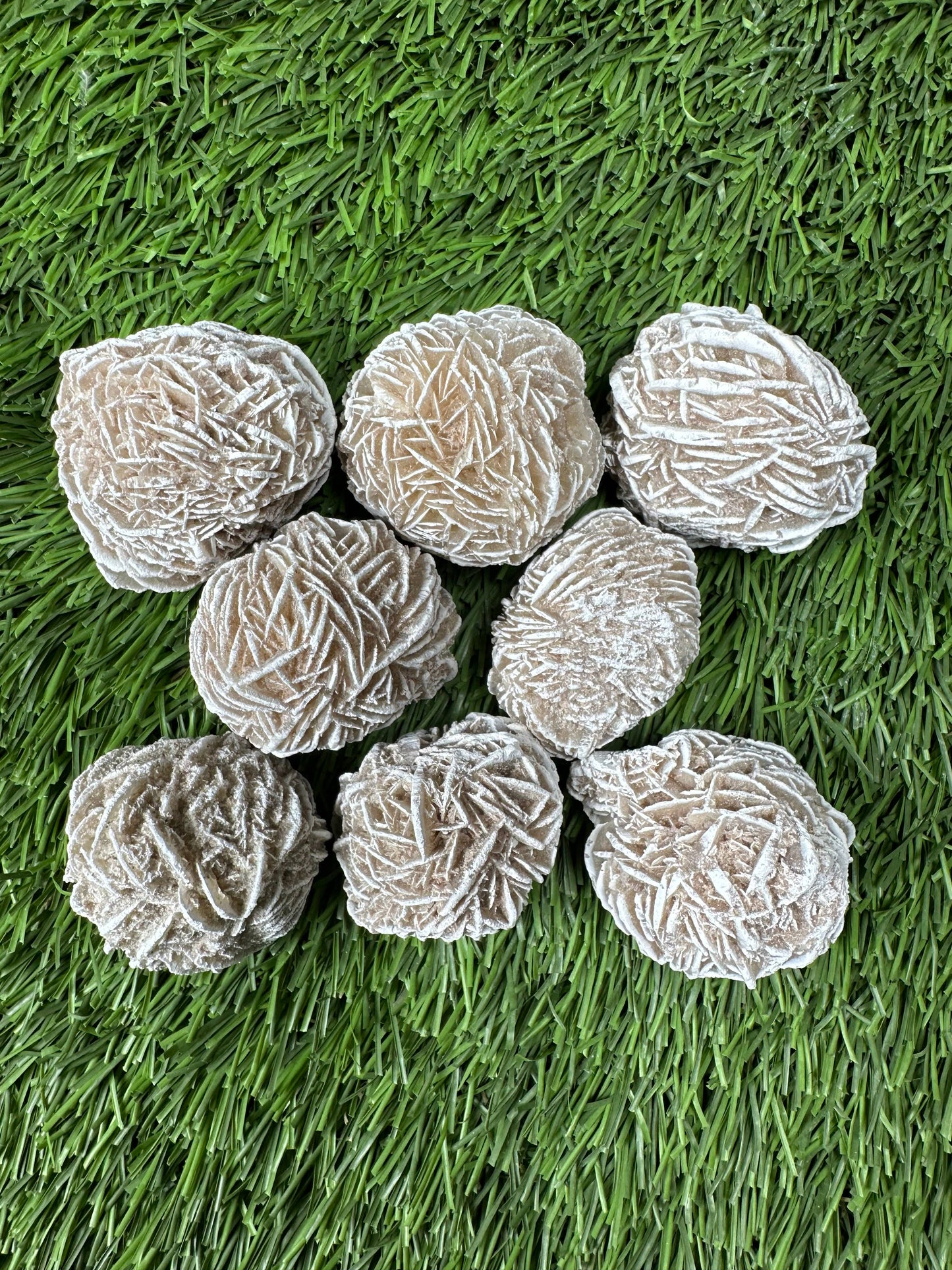 Desert Rose Selenite Buds 1"-1.5", 'A' Grade, Gypsum Rose.