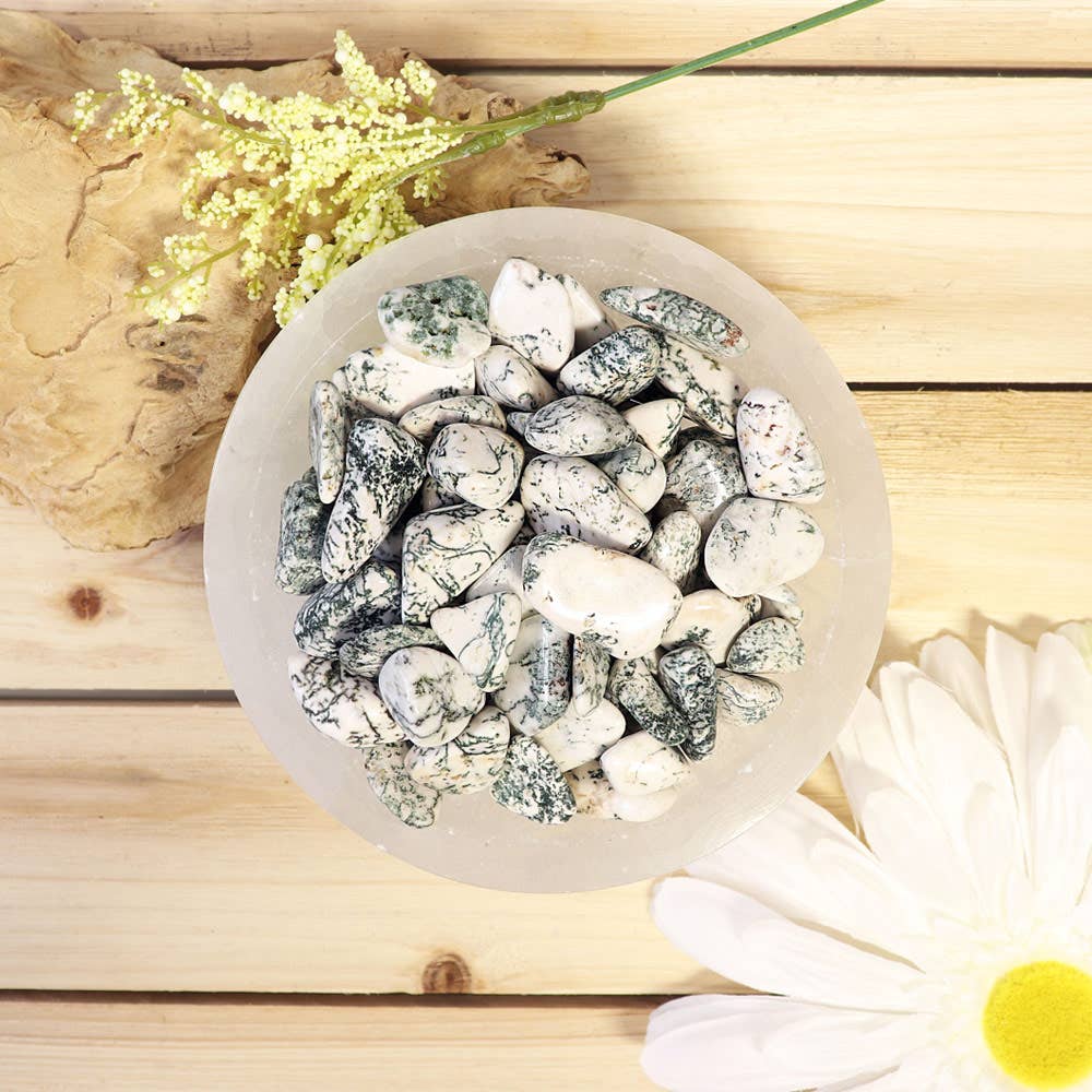 Tree Agate Tumbled Stones