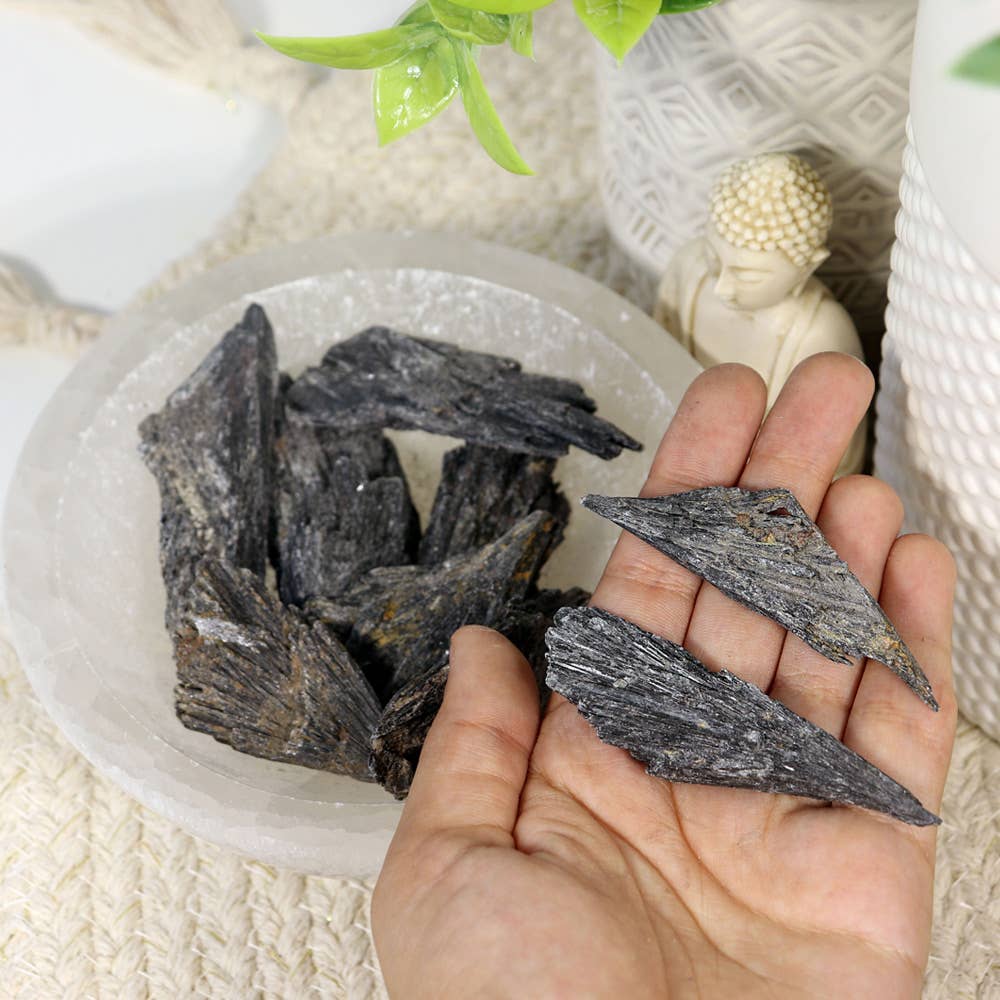 Black Kyanite Crystal