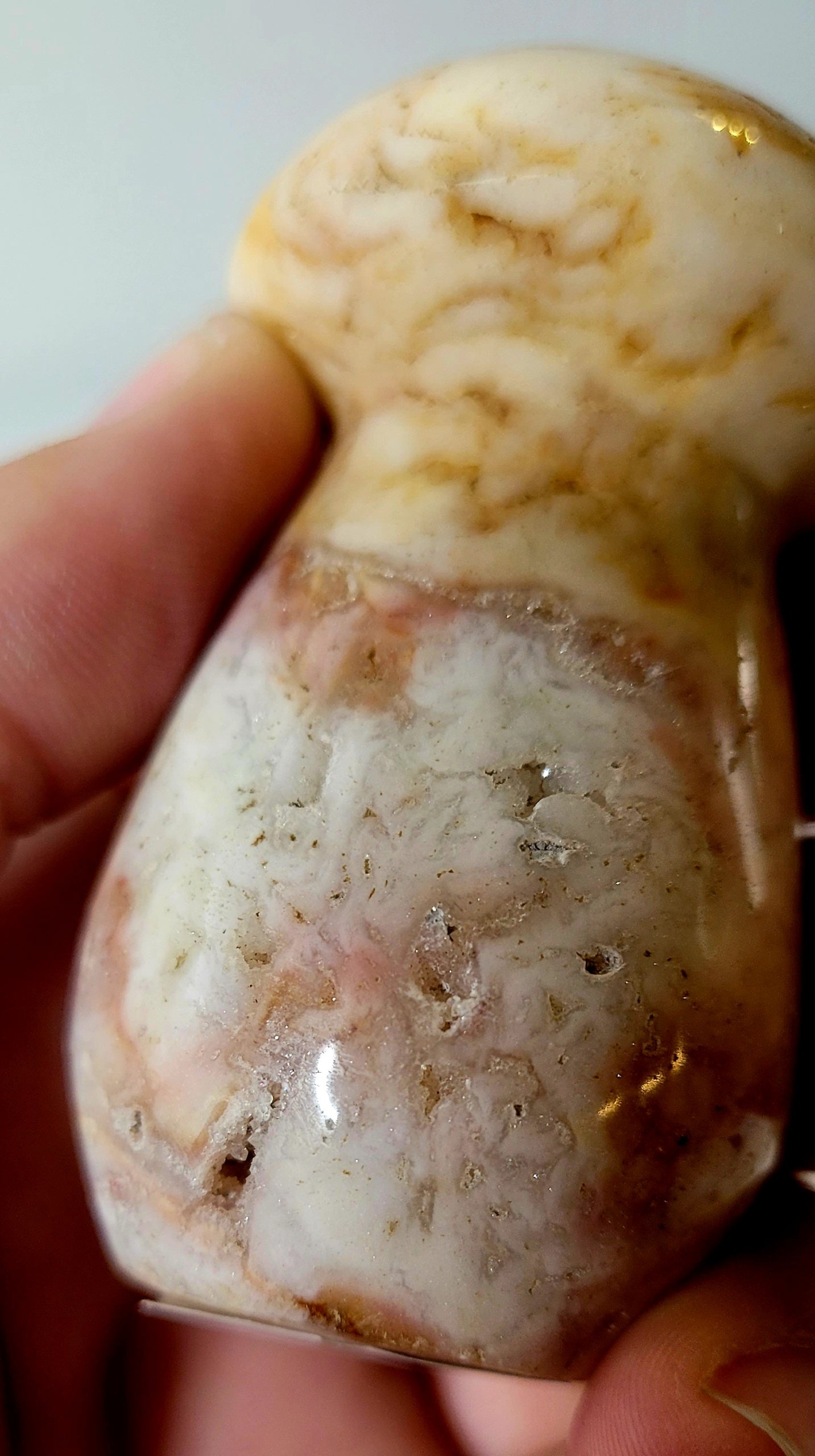 Ocean Jasper Mushroom