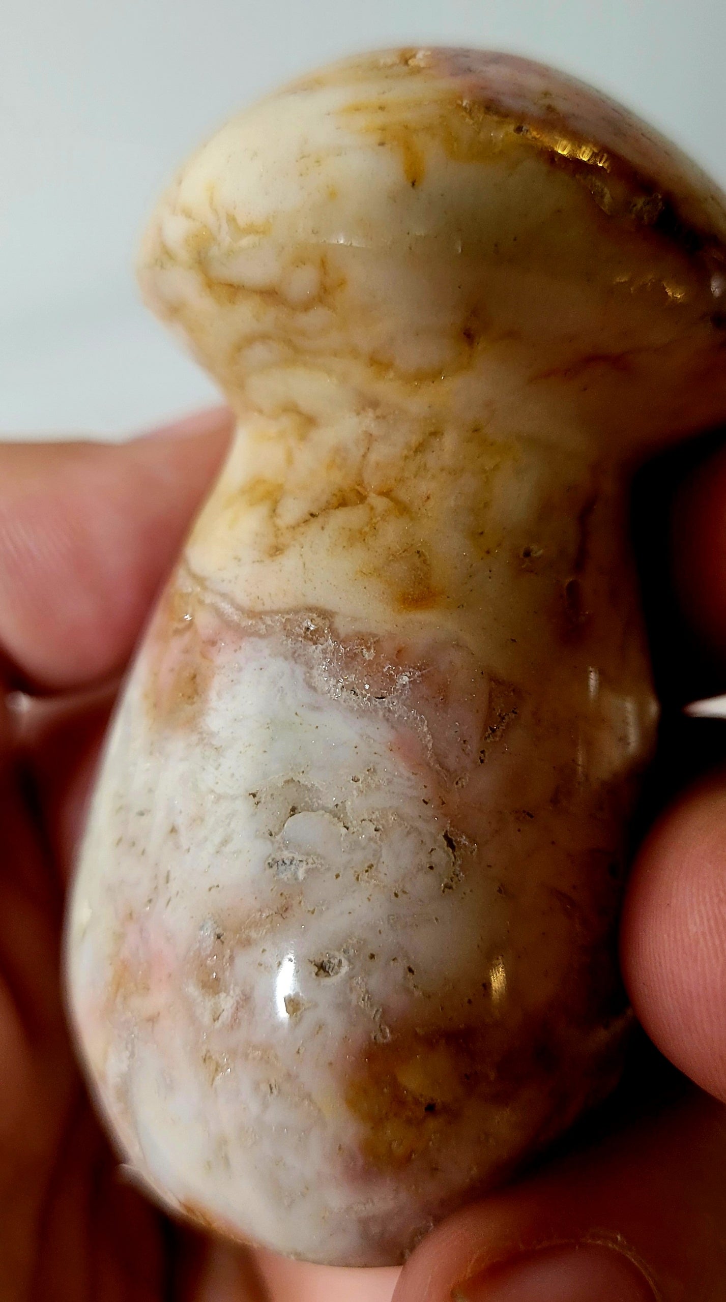 Ocean Jasper Mushroom