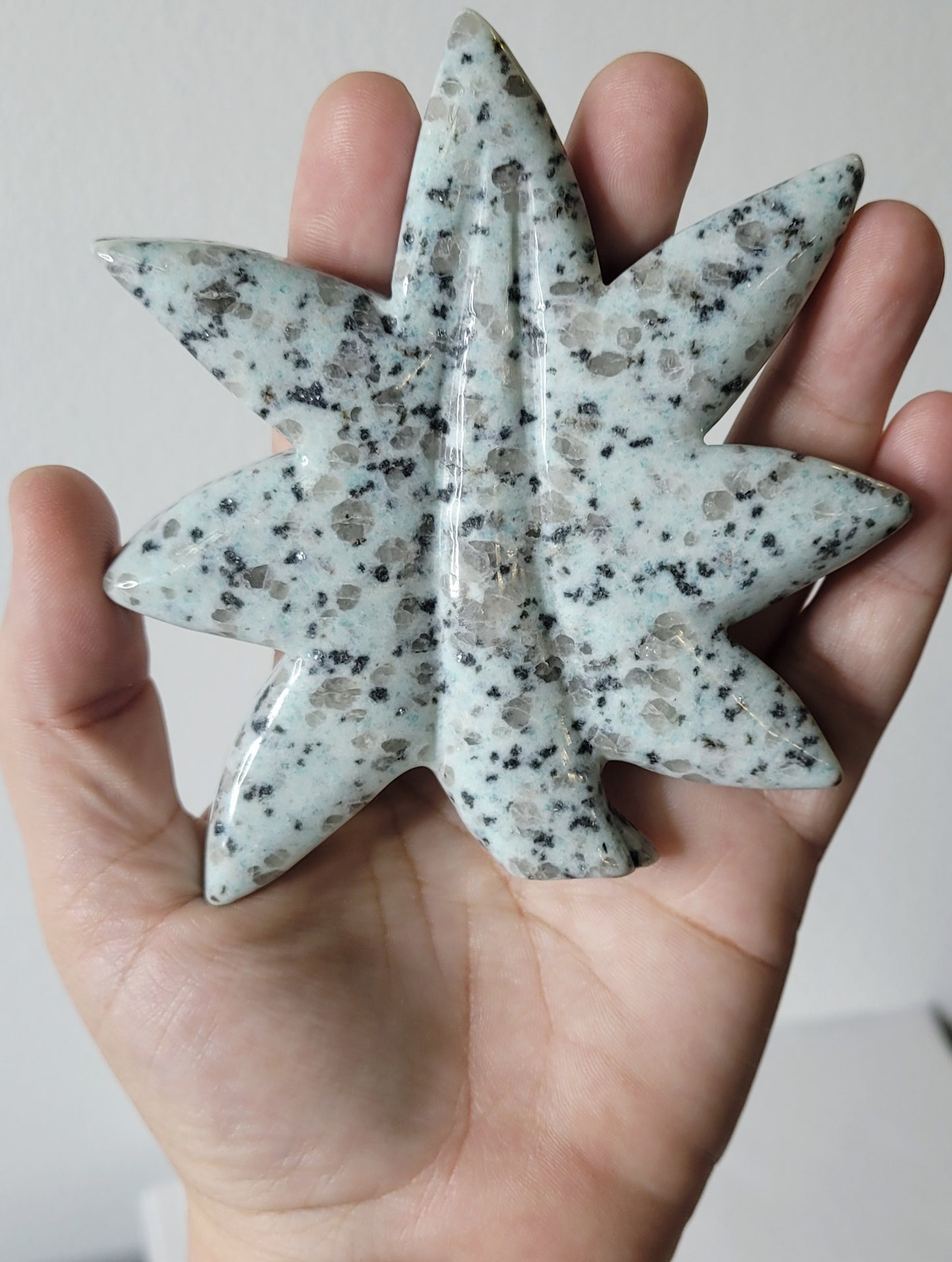 Kiwi Jasper Maple Leaf