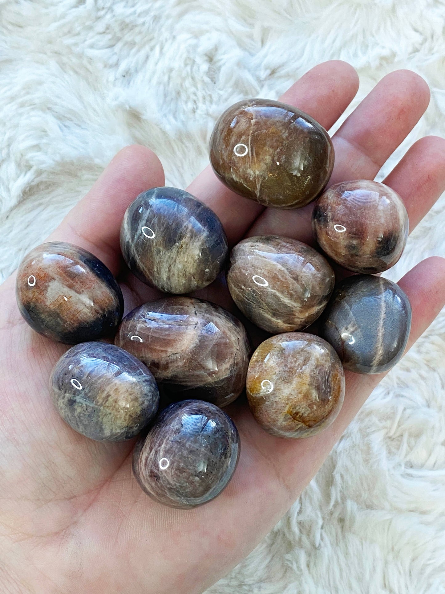 Black Moonstone with Sunstone Tumble