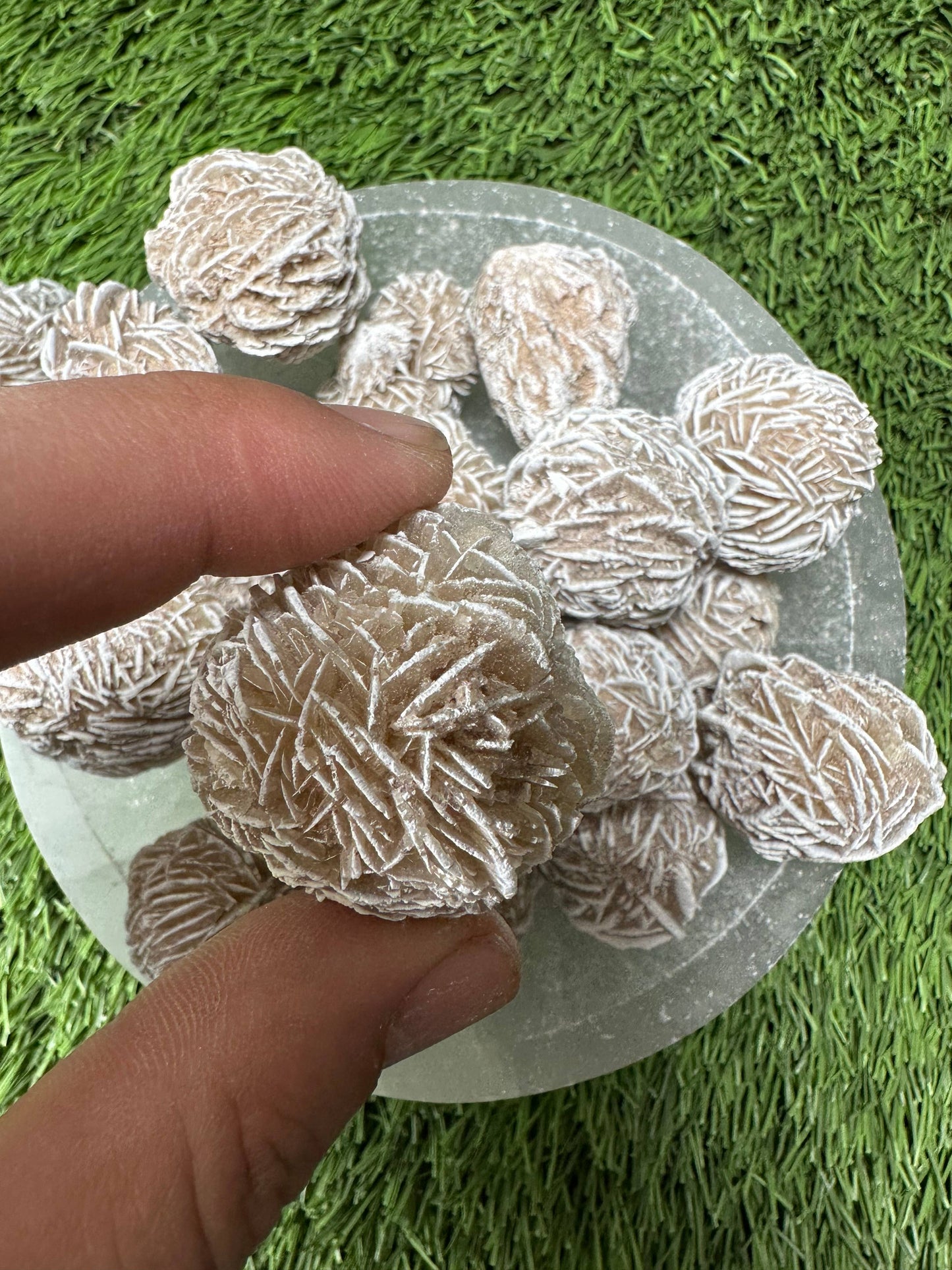 Desert Rose Selenite Buds 1"-1.5", 'A' Grade, Gypsum Rose.