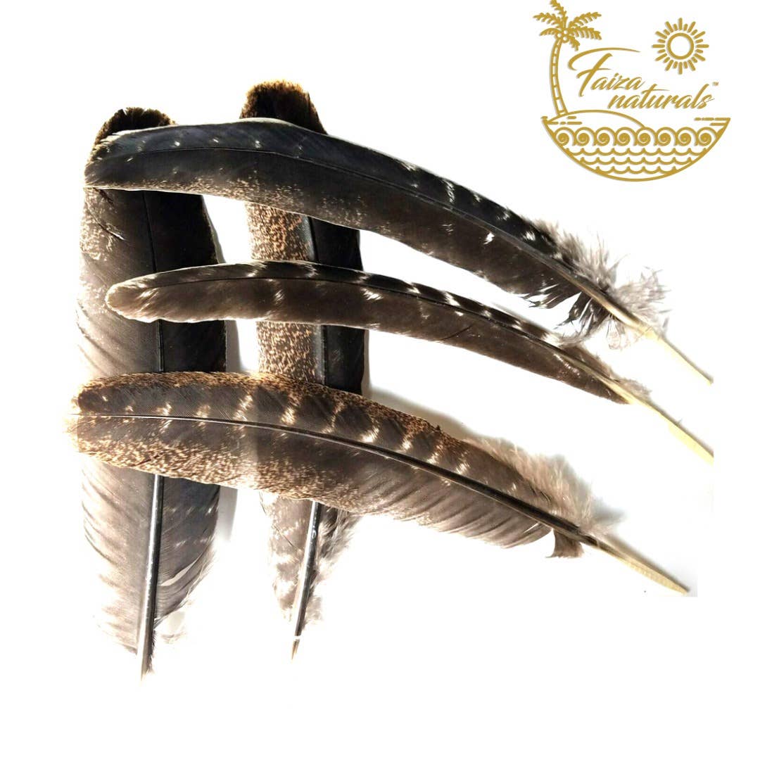 Feathers for Smudging (Turkey)