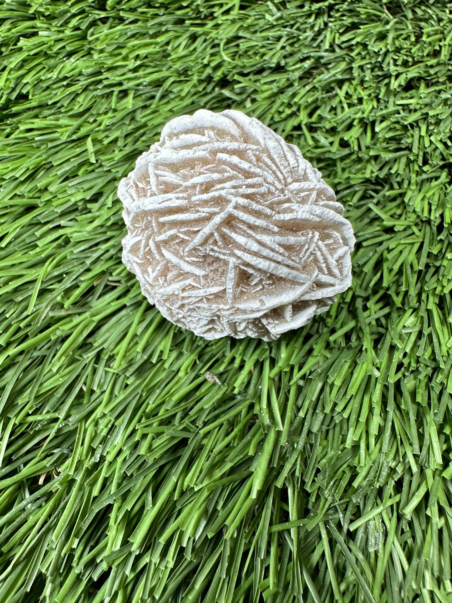 Desert Rose Selenite Buds 1"-1.5", 'A' Grade, Gypsum Rose.