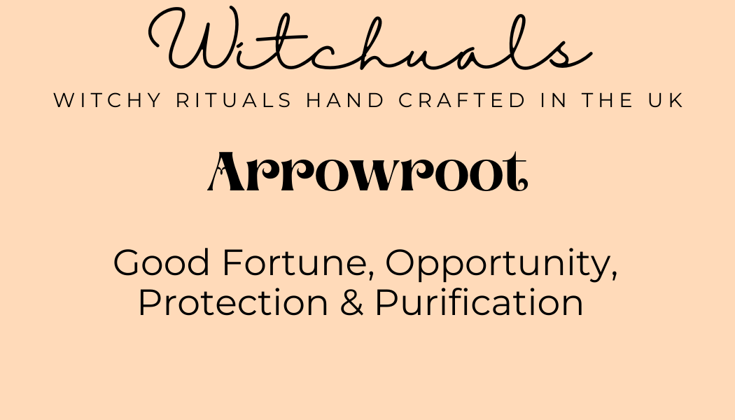 Arrowroot