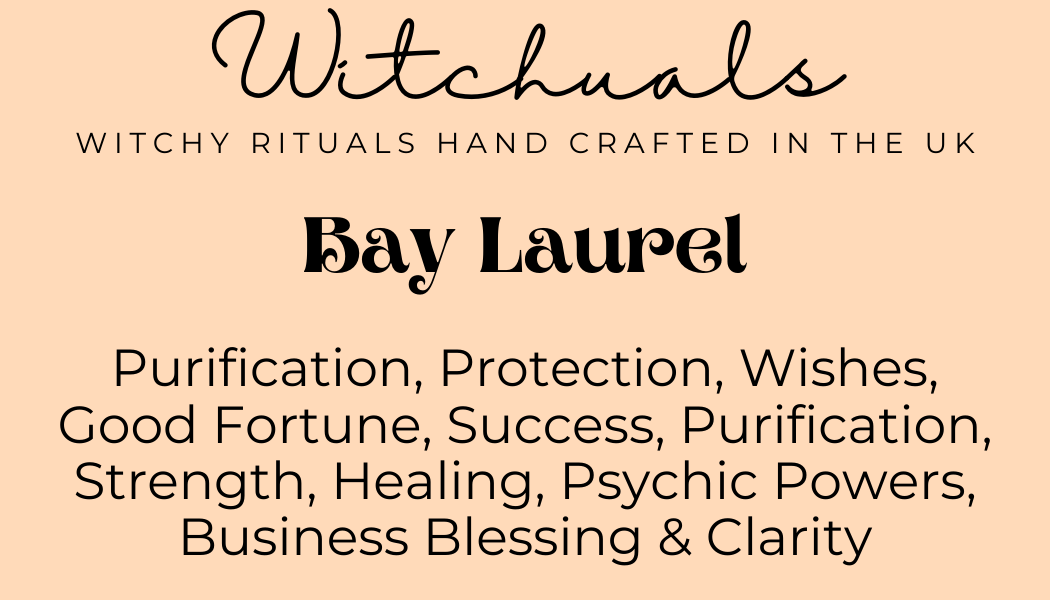 Bay Laurel