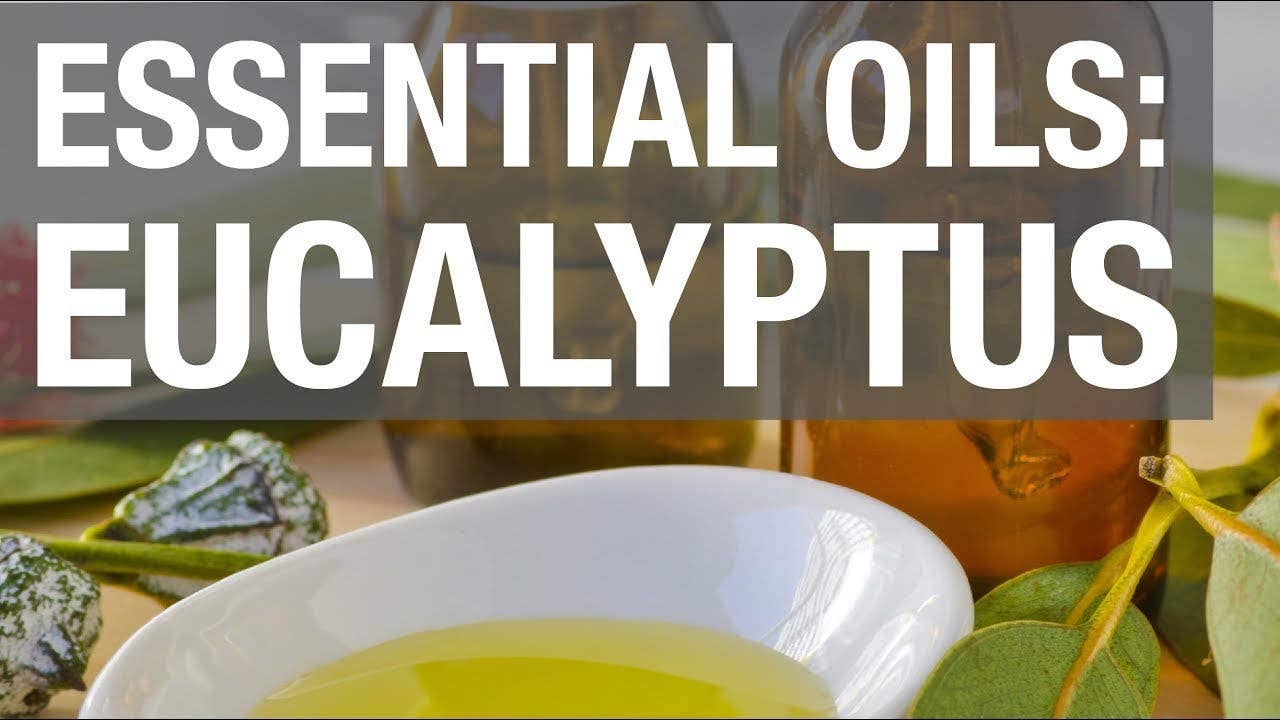 Eucalyptus Essential Oil