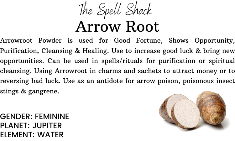 Arrowroot
