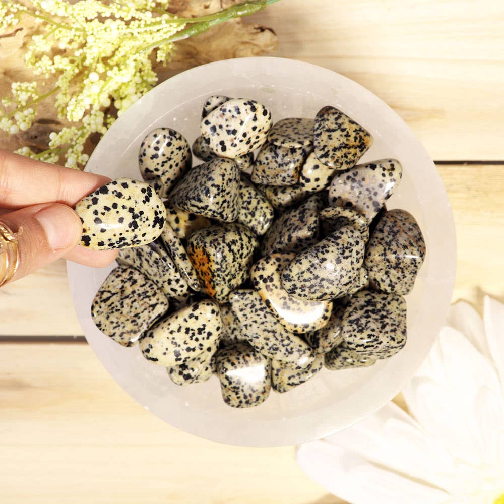 Dalmatian Jasper Tumbled Stones