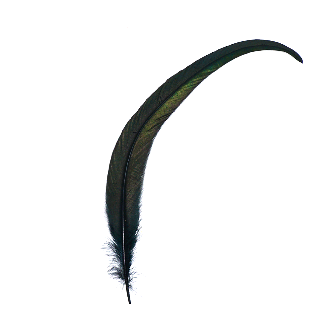 Black Feathers for Smudging