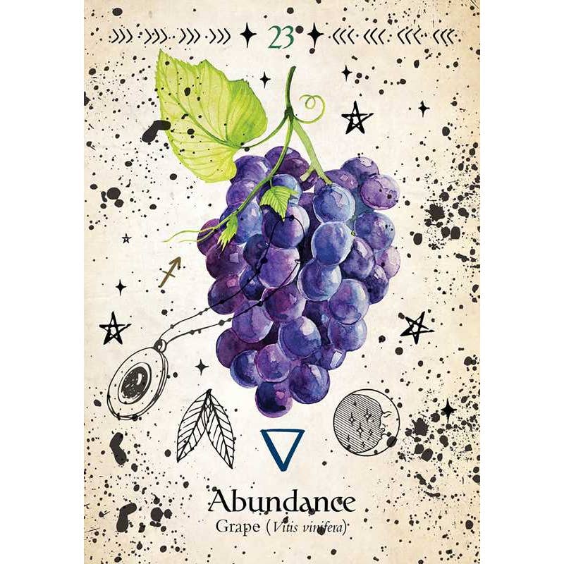 Green Witch Oracle Cards By Cheralyn Darcey