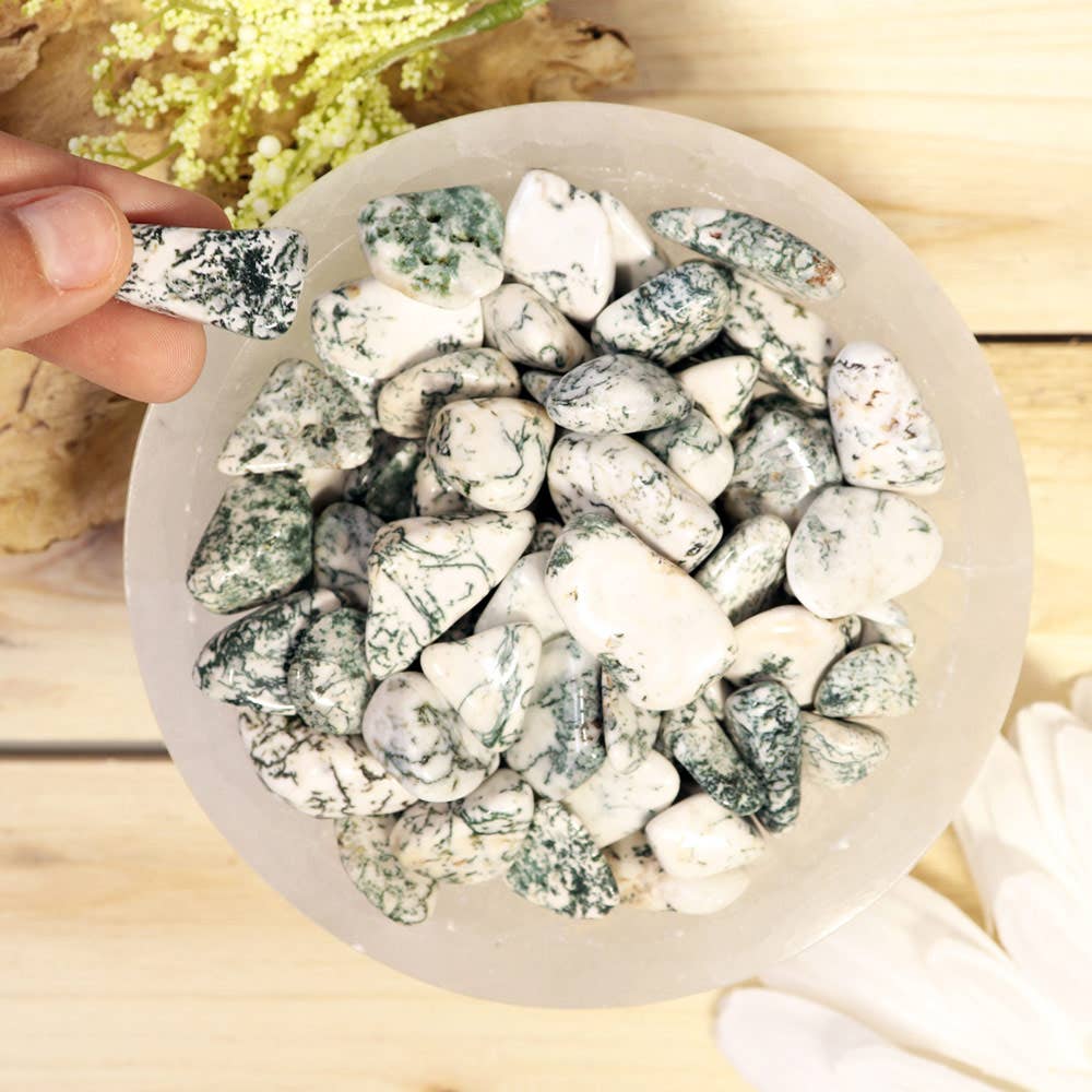 Tree Agate Tumbled Stones