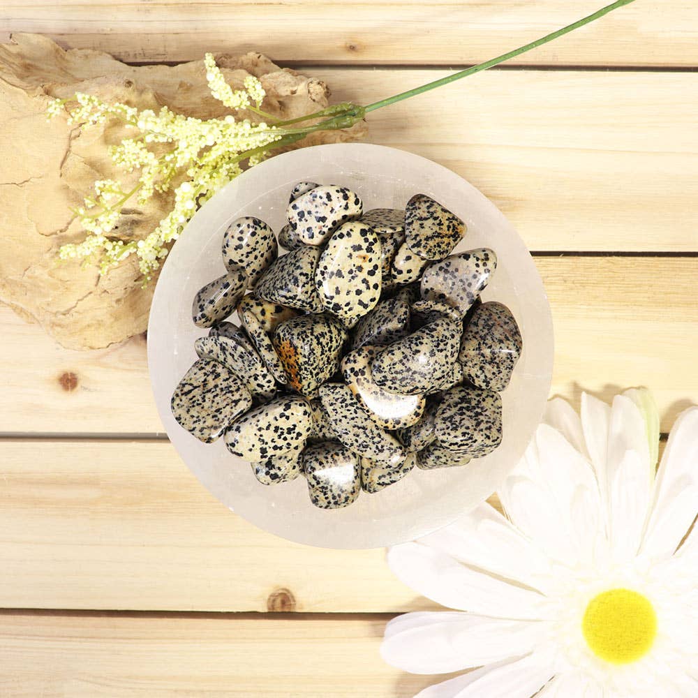 Dalmatian Jasper Tumbled Stones