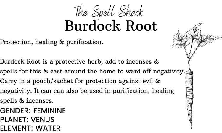 Burdock Root