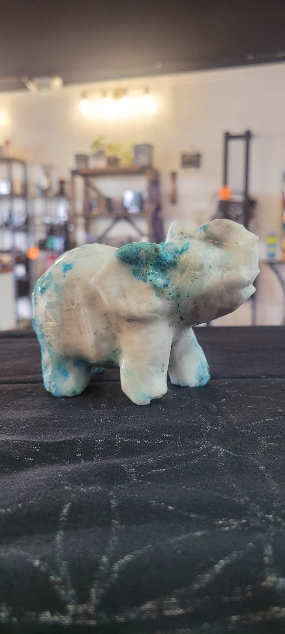 Phoenix Carved Elephant