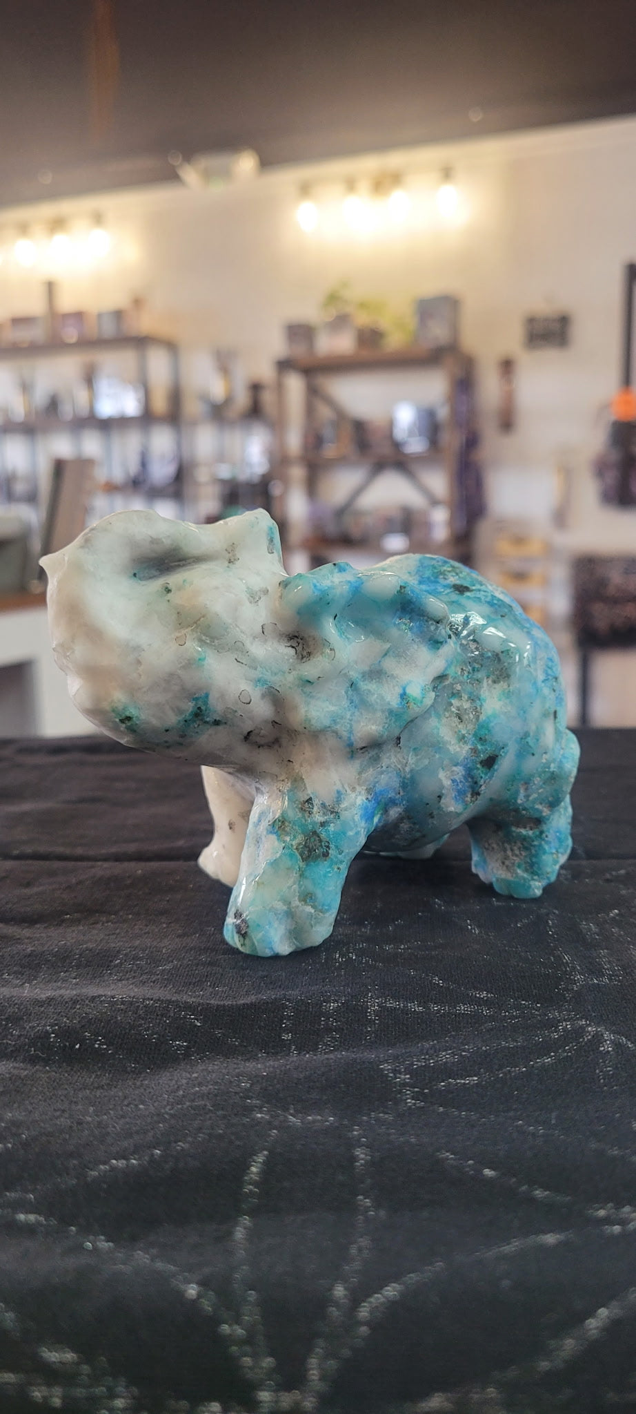 Phoenix Carved Elephant