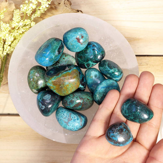 Chrysocolla Tumbled Stones-Grade A| Chrysocolla Crystal