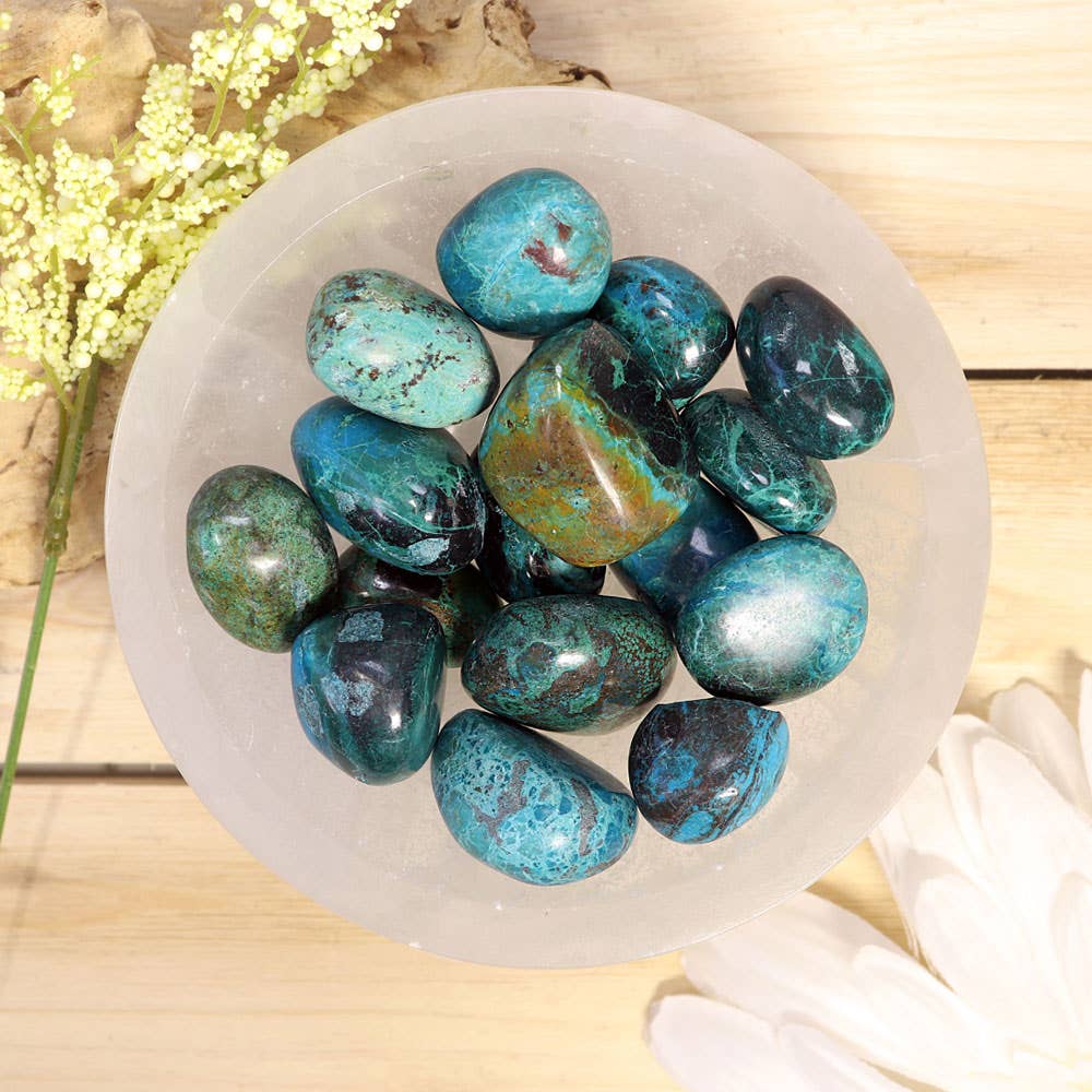 Chrysocolla Tumbled Stones-Grade A| Chrysocolla Crystal