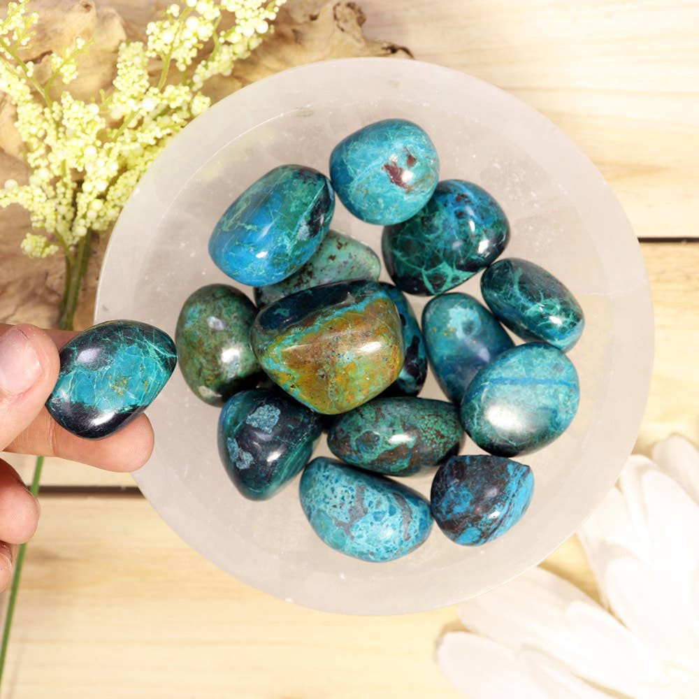 Chrysocolla Tumbled Stones-Grade A| Chrysocolla Crystal