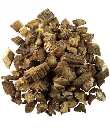 Burdock Root