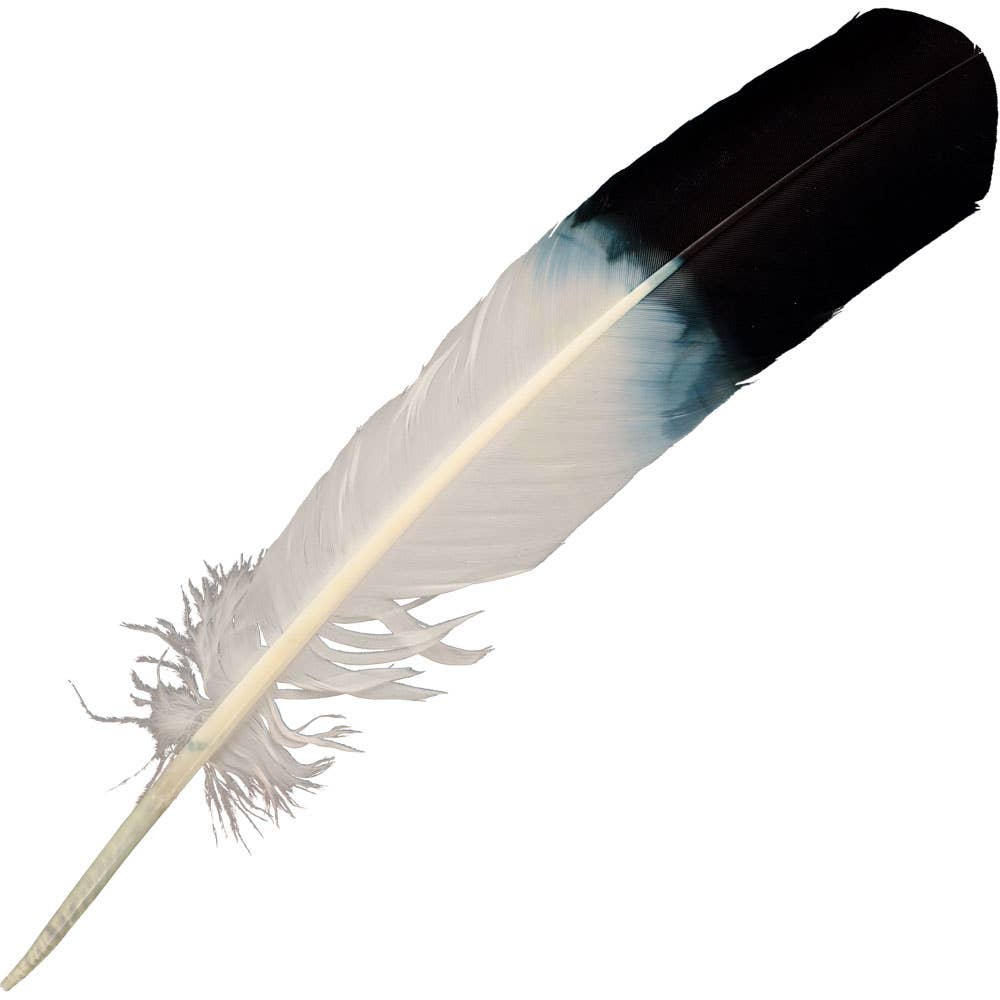 Eagle Feather Imitation