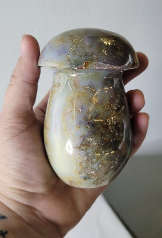 Ocean Jasper Mushroom