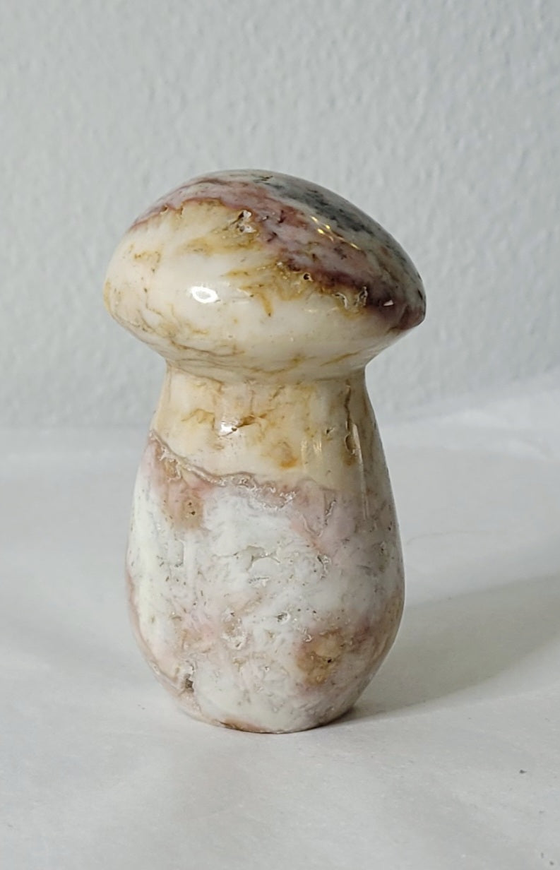 Ocean Jasper Mushroom