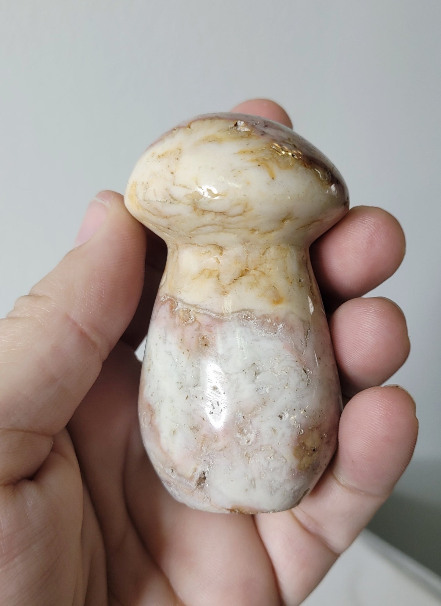 Ocean Jasper Mushroom