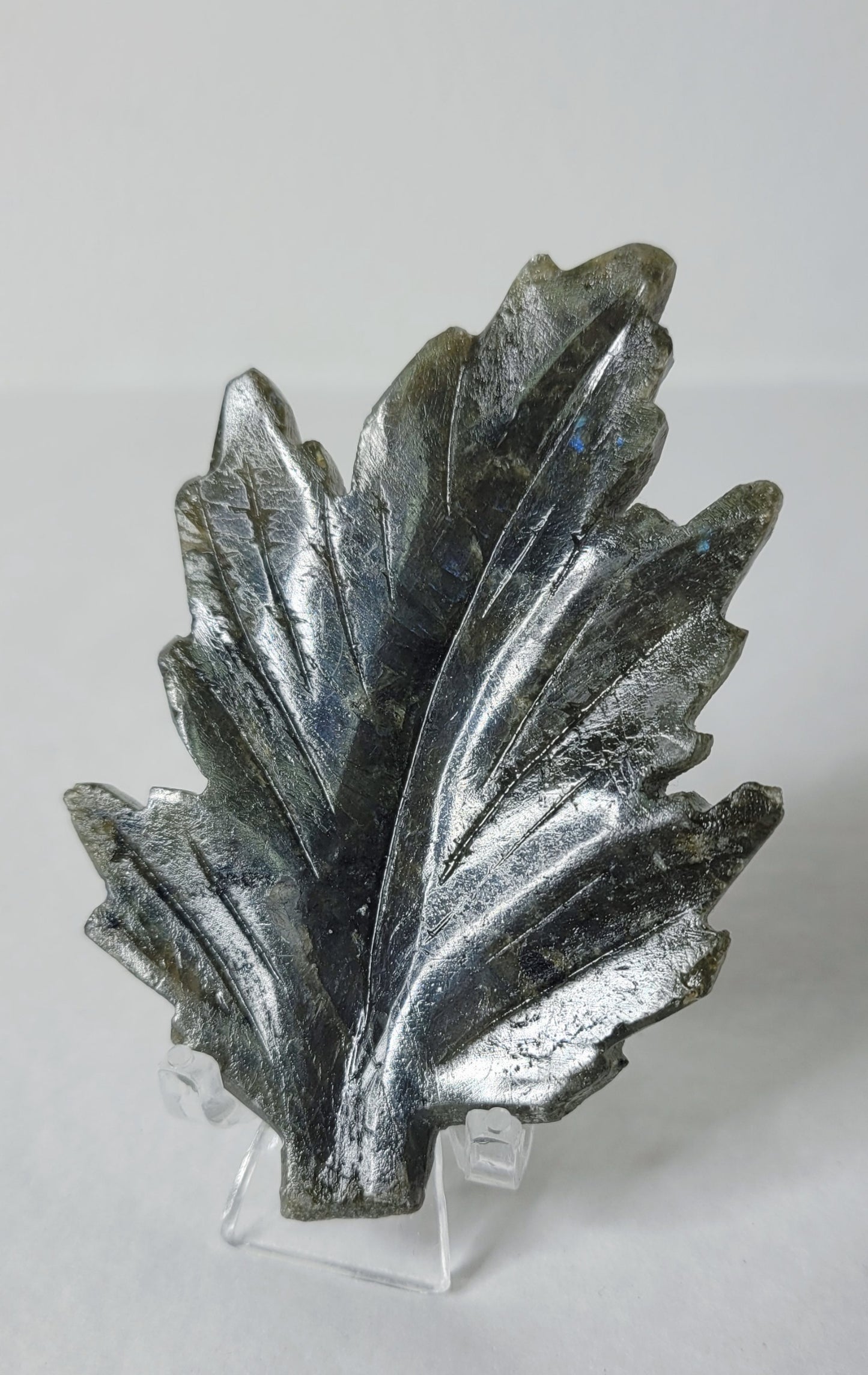 Labradorite Leaf