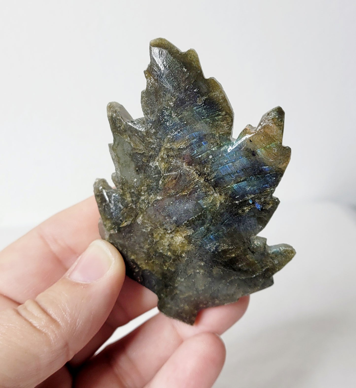 Labradorite Leaf