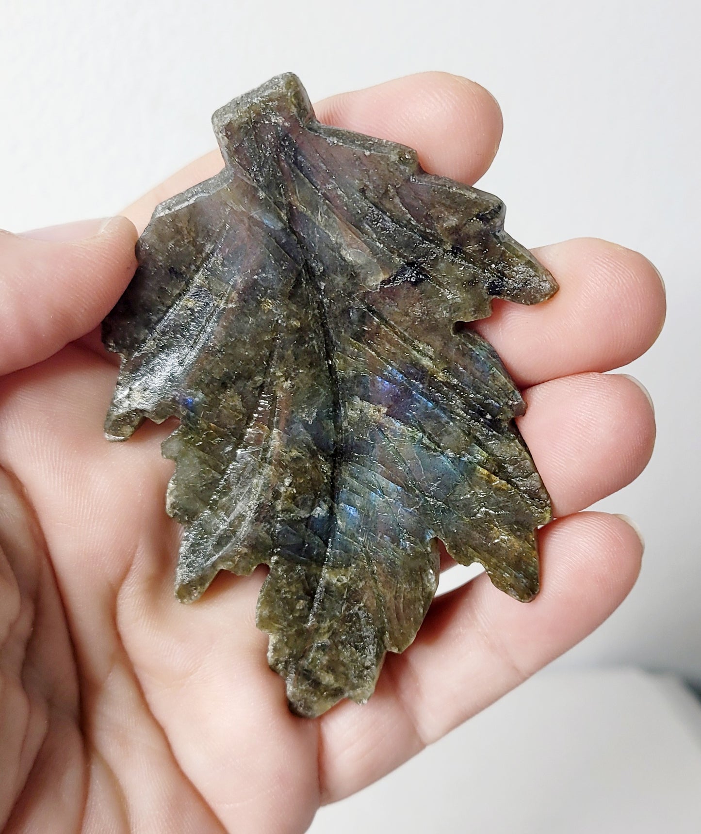 Labradorite Leaf