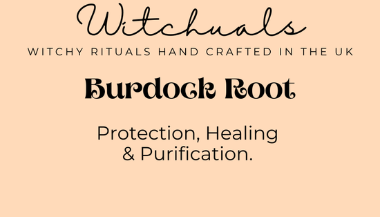 Burdock Root