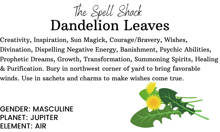 Dandelion Leaves