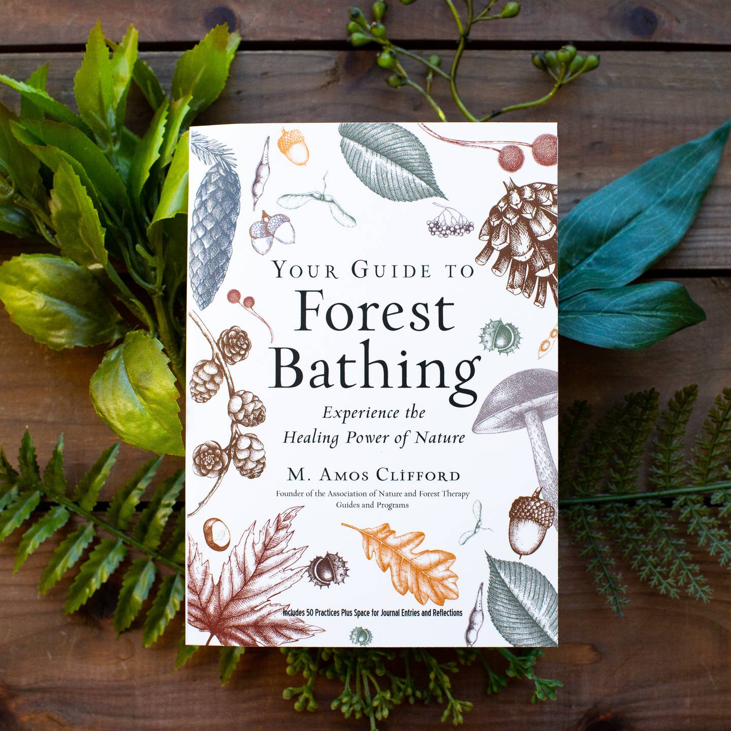 Your Guide To Forest Bathing: Expanded Edition