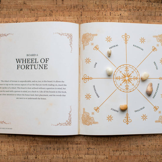 Throwing Bones, Crystals, Stones, and Curios-Mystic Dylan