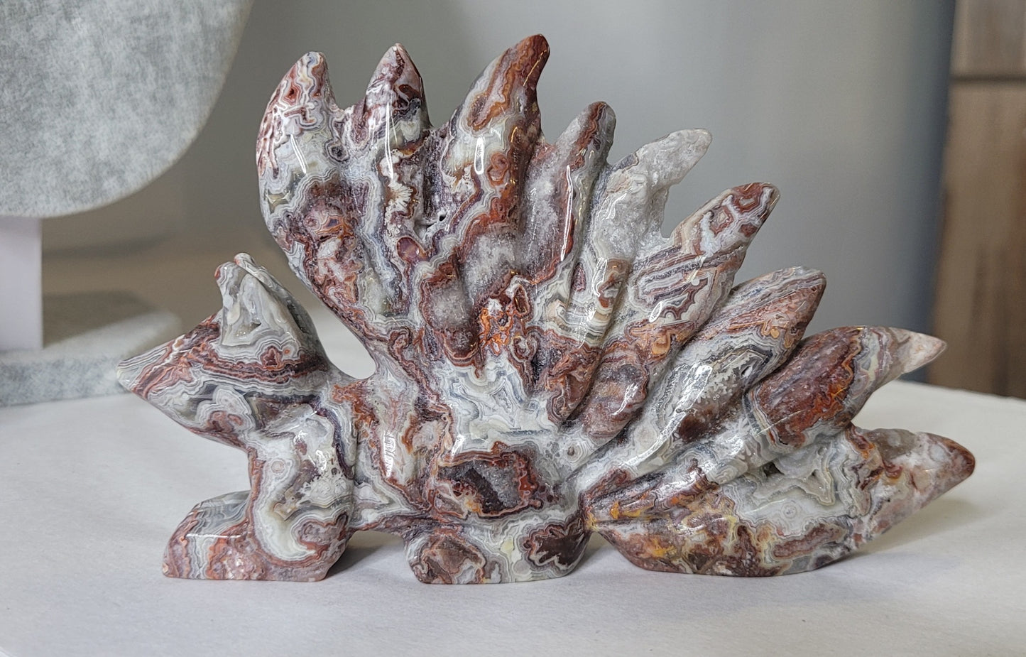 Crazy Lace Agate Druzy Nine Tail Fox