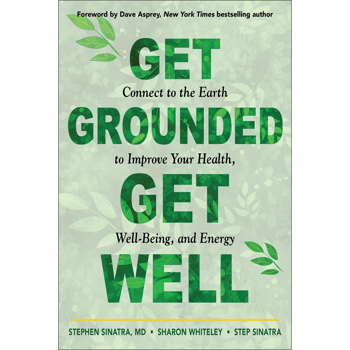 Get Grounded, Get Well - Adult Book