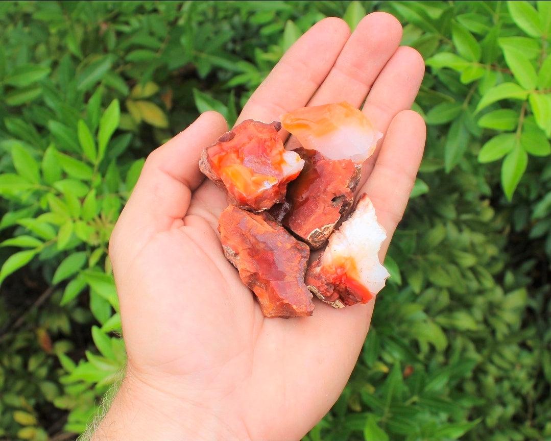 1Pc Carnelian Rough Stone ~  Raw Crystals